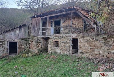 Casă individuală cu 2 camere cu Teren 17399 Mp în Valea Vințului - 2