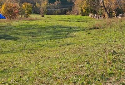 Spațiu comercial, în Bădila - 1