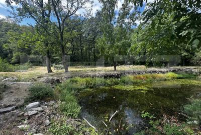 Teren, 12 000 mp, zona Crasna - 1