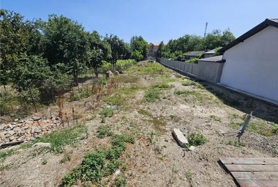 IZVOARE, TEREN 1000mp, STRADAL - 5