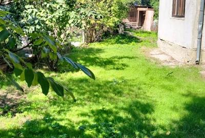 Casă cu grădină, Lipia, Merei - 14