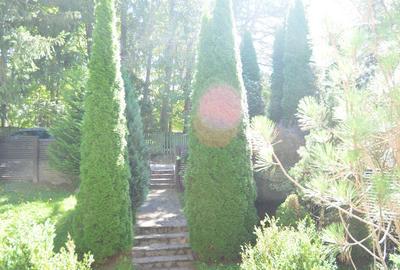 Vila de vacanta situata in Predeal-Cioplea - 10