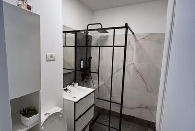 Garsonieră modernă, complet mobilata si utilata, Mall Plaza - 6