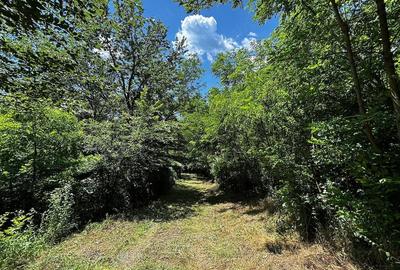 Teren de 6857 mp, în Bujoreni - 2