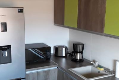 Apartament cu gradina bloc nou Dumbravita - 12