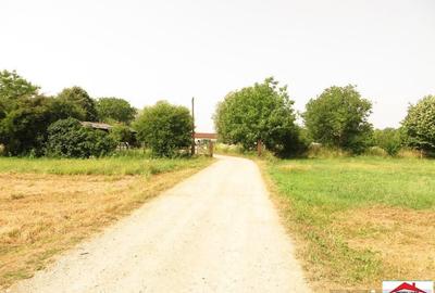 Casă cu 4 camere cu Teren 43000 Mp în Livada - 12