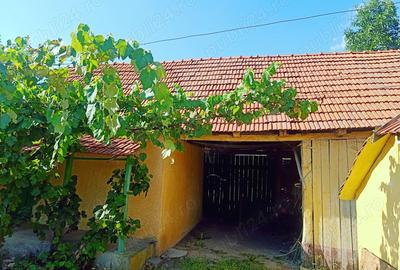Casa de vanzare sat Tes jud Timis - 6