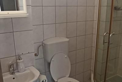 Inchiriez GARSONIERA spatioasa, decomandata pe termen lung. - 6