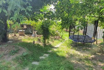 Casă în Vișan - 2