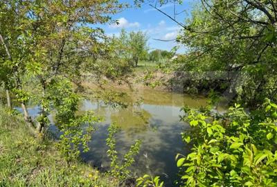 Teren de 19000 mp, în Central