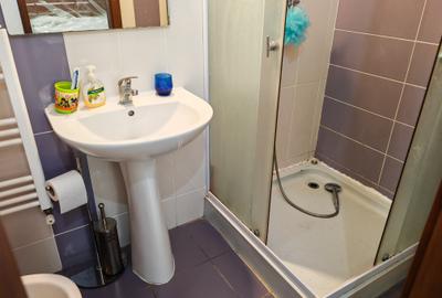 Apartament 3 camere mobilat si utilat intrare Racadau - ALPHAVILLE - 18