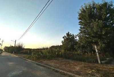 Teren de 480 mp, în Sânnicolau Mic - 1