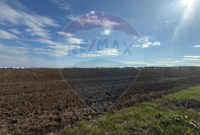 Teren Construcții intravilan de 26243 mp, în Periferie - 3