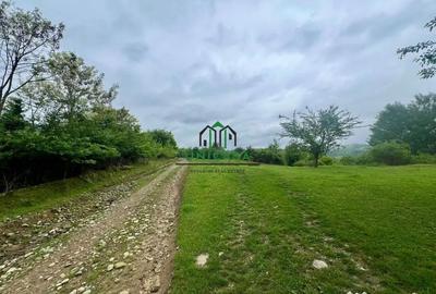 Teren de 3507 mp, în Călimănești