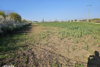 Teren de 10100 mp, în Gorgota - 6