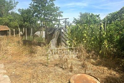 Casa cu teren in localitatea Simand - 10