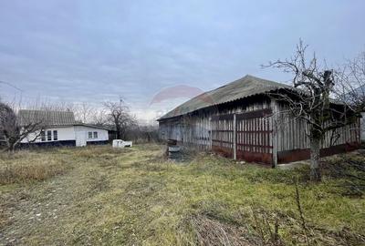 Casa cu teren Neicu/Panciu - 30