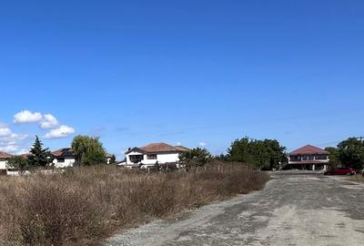 Oituz- Grigore Vieru  - la  Bulevard! - 4