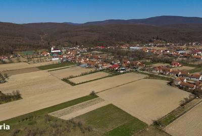 Teren de 2970 mp, în Mașloc - 7