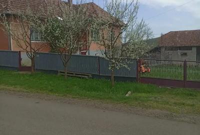 Casă cu 3 camere în Băla - 4