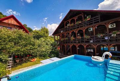 Clisura Dunarii Pensiune Casa cu Smochini - 4