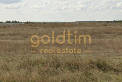 TEREN INTRAVILAN/2500mp/DIMIENI/IDEAL INVESTITIE/PRETABIL CONSTRUCTII TEREN INTRAVILAN/2500mp/DIMIENI/IDEAL INVESTITIE/PRETABIL CONSTRUCTII - 3