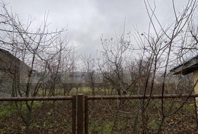 Casă cu 3 camere cu Teren 40000 Mp în Crasna - 13
