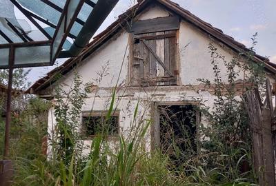 Casa de vanzare la Sebis judet arad - 1