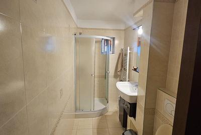 Apartament cu 2 camere decomandat, mobilat în Nicolina - 6