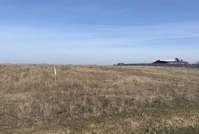 Teren intravilan 500mp, Pielesti, langa lac - 2