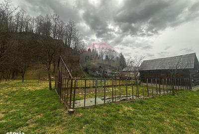 Casă cu 3 camere în Prislop - 2