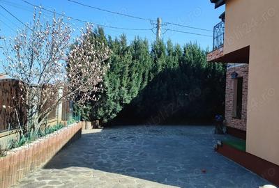 Casă cu Teren 670 Mp în Șag - 2