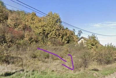 Apartament cu 4 camere în Crainimăt - 3