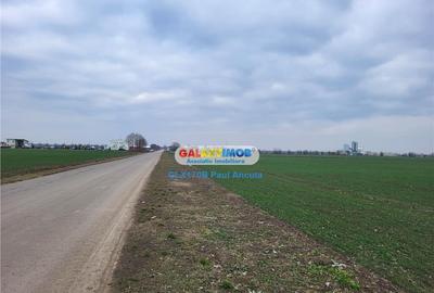 Teren de 65000 mp, în Moara Vlăsiei