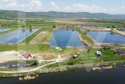 Teren Extravilan cu lac - Investitie in Natura si Agrement | 35.251 mp - 10