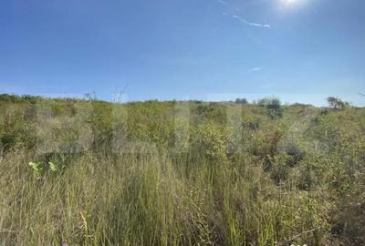 Teren de 3800 mp, în Crișeni - 1