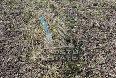 Teren Construcții intravilan de 758 mp, în Torontalului - 2