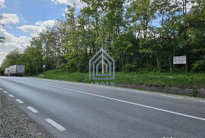 Teren de 2500 mp, în Drăgușeni - 5
