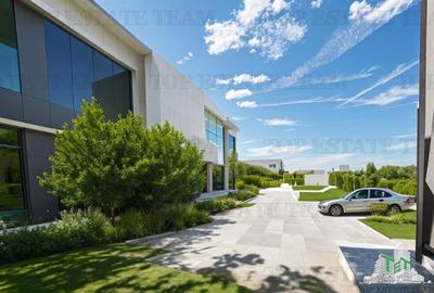 Vanzare Spatiu Comercial situat in Tancabesti - 2