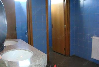 Spațiu comercial, în Giurgiului - 6