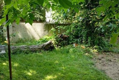 Spațiu comercial, de 150 mp, în Central - 5