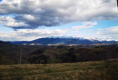 Spațiu comercial, în Peștera - 3