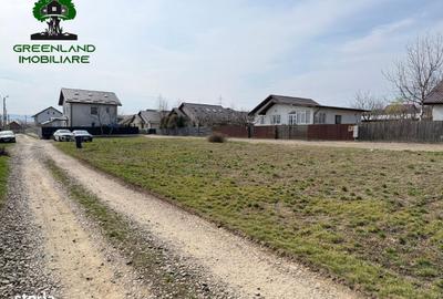 Spațiu comercial, în Ciurea