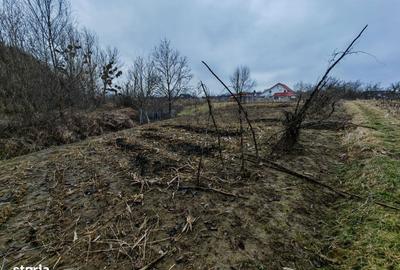 Spațiu comercial, în Măgura - 10