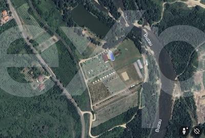 Proprietate unicat pe Valea Buzaului - 2