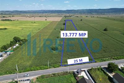 Teren de vanzare, Letea Veche, Jud. Bacau - 8