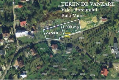 Teren 1,000mp Baia Mare / Strada Valea Borcutului
