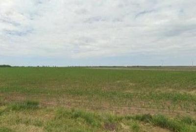 Teren de 1200 mp, în Pogoanele - 9