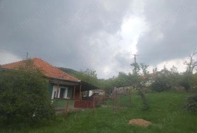 Vand casa supraf 60 Mp,curte 810 Mp,teren extravilan aprox 6000 Mp i Vand casa supraf 60 Mp,curte 810 Mp,teren extravilan aprox 6000 Mp i - 3