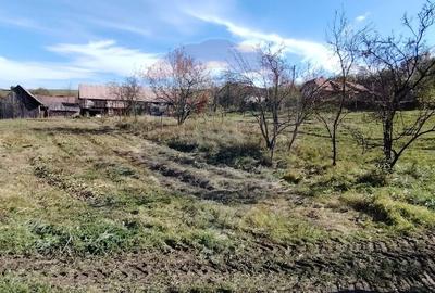 Teren intravilan de vanzare 3,798mp Str.Floreasca - Agnita - 5